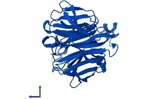 AlphaFold protein structure predicition of Mouse Recombinant Rgn Protein, UniprotID Q64374