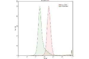 Detection of MCL1 in Raji human Burkitt's lymphoma cell line using Polyclonal Antibody to Induced Myeloid Leukemia Cell Differentiation Protein Mcl-1 (MCL1) (MCL-1 抗体  (AA 6-328))
