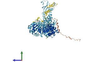 AlphaFold protein structure predicition of Human Recombinant MSH5 Protein, UniprotID O43196
