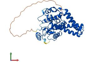 Protein Structure (PS) image for Stearoyl-CoA Desaturase (Delta-9-Desaturase) (SCD) (AA 1-359) protein (His tag) (ABIN7551899)