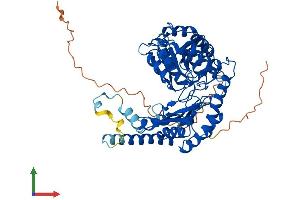 Protein Structure (PS) image for serine Palmitoyltransferase, Long Chain Base Subunit 2 (SPTLC2) (AA 1-560) protein (His tag) (ABIN7556792)