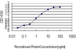 Detection limit for recombinant GST tagged CPNE6 is approximately 0. (CPNE6 抗体  (AA 1-557))