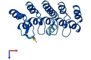 AlphaFold protein structure predicition of Mouse Recombinant Ankrd22 Protein, UniprotID Q9D3J5 (ANKRD22 Protein (AA 1-191) (His tag))