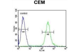 Flow Cytometry (FACS) image for anti-Activating Transcription Factor 7 Interacting Protein 2 (ATF7IP2) (AA 325-355), (Middle Region) antibody (ABIN953344)