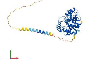 Protein Structure (PS) image for ST6 (Alpha-N-Acetyl-Neuraminyl-2,3-beta-Galactosyl-1,3)-N-Acetylgalactosaminide alpha-2,6-Sialyltransferase 6 (ST6GALNAC6) (AA 1-333) protein (His tag) (ABIN7561698)