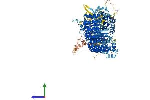 Protein Structure (PS) image for NLR Family, Pyrin Domain Containing 3 (NLRP3) (AA 1-1036) protein (His tag) (ABIN7554745)