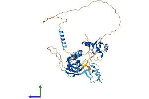 Protein Structure (PS) image for U-Box Domain Containing 5 (UBOX5) (AA 1-539) protein (His tag) (ABIN7560273)