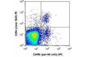 Flow Cytometry (FACS) image for anti-Killer Cell Lectin-Like Receptor Subfamily D, Member 1 (KLRD1) antibody (PE) (ABIN2663655) (CD94 抗体  (PE))