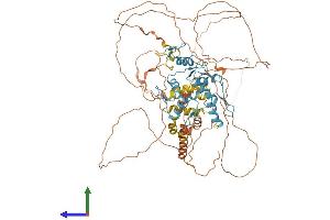 AlphaFold protein structure predicition of Mouse Recombinant Bcl6 Protein, UniprotID P41183 (BCL6 Protein (AA 1-707) (His tag))