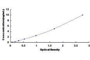 Glutamate Receptor, Ionotropic, AMPA 4 (GRIA4) ELISA Kit
