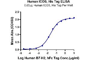 ELISA image for Inducible T-Cell Co-Stimulator (ICOS) (AA 21-134) protein (His tag) (ABIN7274837)