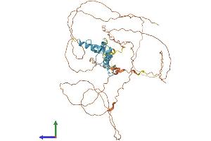 Protein Structure (PS) image for Sp8 Transcription Factor (SP8) (AA 1-490) protein (His tag) (ABIN7546222)
