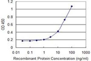 Detection limit for recombinant GST tagged TRAF1 is 1 ng/ml as a capture antibody. (TRAF1 抗体  (AA 1-416))