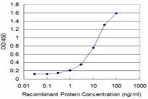 Detection limit for recombinant GST tagged SS18 is approximately 0. (SS18 抗体  (AA 116-216))
