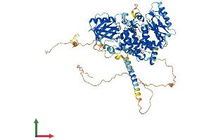 AlphaFold protein structure predicition of Mouse Recombinant Mtmr12 Protein, UniprotID Q80TA6 (MTMR12 Protein (AA 1-747) (His tag))