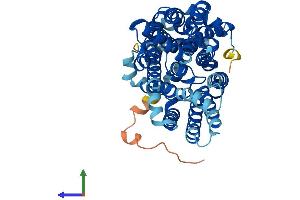 Protein Structure (PS) image for Solute Carrier Family 2 (Facilitated Glucose Transporter), Member 1 (SLC2A1) (AA 1-492) protein (His tag) (ABIN7562920)