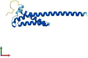 AlphaFold protein structure predicition of Human Recombinant TMEM18 Protein, UniprotID Q96B42