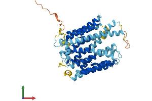 Protein Structure (PS) image for Solute Carrier Family 46 (Folate Transporter), Member 1 (SLC46A1) (AA 1-459) protein (His tag) (ABIN7558061)