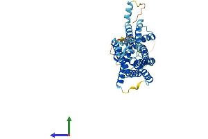 Protein Structure (PS) image for Solute Carrier Family 35, Member E4 (SLC35E4) (AA 1-351) protein (His tag) (ABIN7559548)