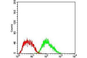 Flow cytometric analysis of HepG2 cells using FTL mouse mAb (green) and negative control (red). (FTL 抗体  (AA 1-175))
