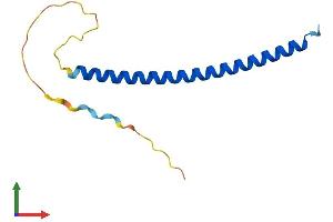 Protein Structure (PS) image for Chromosome 4 Open Reading Fram 46 (C4orf46) (AA 1-113) protein (His tag) (ABIN7552989)