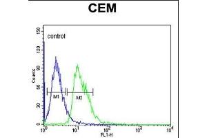 DIH2 Antibody (Center) 9407c flow cytometric analysis of CEM cells (right histogram) compared to a negative control cell (left histogram). (DIAPH2 抗体  (AA 870-899))