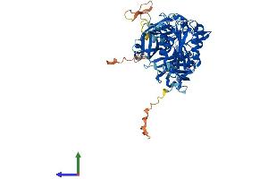 Protein Structure (PS) image for Copine V (CPNE5) (AA 1-593) protein (His tag) (ABIN7546741)