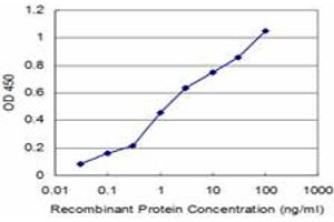 Detection limit for recombinant GST tagged VAMP1 is approximately 0. (VAMP1 抗体  (AA 28-96))