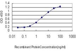 Detection limit for recombinant GST tagged SFRS10 is approximately 0. (TRA2B 抗体  (AA 120-199))