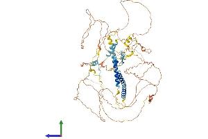 AlphaFold protein structure predicition of Human Recombinant DACT2 Protein, UniprotID Q5SW24