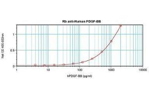 Image no. 4 for anti-PDGF-BB Homodimer antibody (ABIN465590) (PDGF-BB Homodimer 抗体)