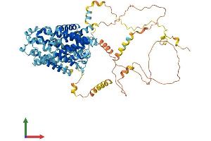 Protein Structure (PS) image for Solute Carrier Family 12 (Potassium/chloride Transporters), Member 8 (Slc12a8) (AA 1-714) protein (His tag) (ABIN7555294)