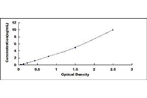 Typical standard curve (Podoplanin ELISA 试剂盒)