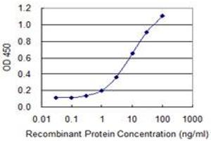 Detection limit for recombinant GST tagged PDAP1 is 0. (PDAP1 抗体  (AA 1-181))