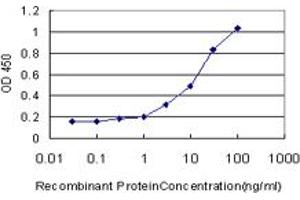 Detection limit for recombinant GST tagged AZIN1 is approximately 0. (Antizyme Inhibitor 1 抗体  (AA 339-447))