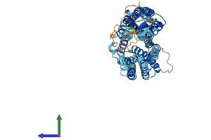 Protein Structure (PS) image for Solute Carrier Family 43, Member 2 (SLC43A2) (AA 1-569) protein (His tag) (ABIN7548948)