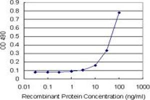 Sandwich ELISA detection sensitivity ranging from 10 ng/mL to 100 ng/mL. (REG1A (人) Matched Antibody Pair)