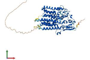 Protein Structure (PS) image for Asparagine-Linked Glycosylation 9, alpha-1,2-Mannosyltransferase (ALG9) (AA 1-611) protein (His tag) (ABIN7559860)