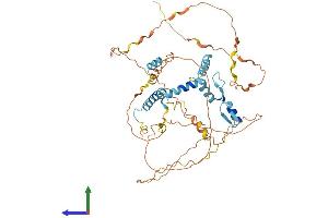 Protein Structure (PS) image for Nuclear Fragile X Mental Retardation Protein Interacting Protein 1 (NUFIP1) (AA 1-495) protein (His tag) (ABIN7550117)