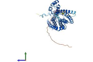 AlphaFold protein structure predicition of Mouse Recombinant Cers4 Protein, UniprotID Q9D6J1