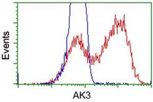 HEK293T cells transfected with either RC204408 overexpress plasmid (Red) or empty vector control plasmid (Blue) were immunostained by anti-AK3 antibody (ABIN2452714), and then analyzed by flow cytometry. (Adenylate Kinase 3 抗体)