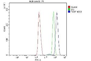 Flow Cytometry analysis of HL-60 cells using anti-PARP antibody (ABIN7602277). (PARP1 抗体  (AA 670-858))