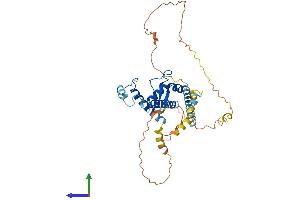 Protein Structure (PS) image for Actin-Binding rho Activating Protein (ABRA) (AA 1-381) protein (His tag) (ABIN7551739)