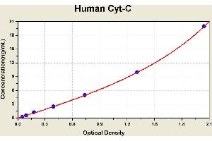 Cytochrome C, Somatic (CYCS) ELISA Kit
