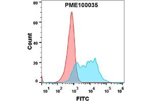 Flow cytometry analysis with 1 μg/mL Human BCMA Protein, mFc tag (ABIN6961108) on Expi293 cells transfected with human BAFF (Blue histogram) or Expi293 transfected with irrelevant protein (Red histogram).