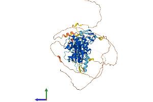 Protein Structure (PS) image for V-Raf-1 Murine Leukemia Viral Oncogene Homolog 1 (RAF1) (AA 1-648) protein (His tag) (ABIN7564914)