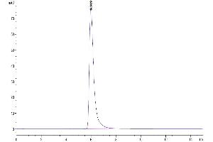 Size-exclusion chromatography-High Pressure Liquid Chromatography (SEC-HPLC) image for Folate Hydrolase (Prostate-Specific Membrane Antigen) 1 (FOLH1) (AA 44-750) protein (Fc Tag) (ABIN7275493)