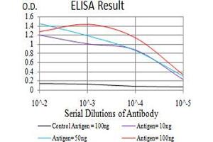 Black line: Control Antigen (100 ng);Purple line: Antigen (10ng); Blue line: Antigen (50 ng); Red line:Antigen (100 ng) (ESRRA 抗体  (AA 198-376))