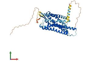 AlphaFold protein structure predicition of Human Recombinant PROKR1 Protein, UniprotID Q8TCW9
