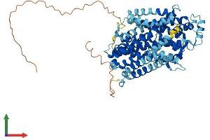 Protein Structure (PS) image for Solute Carrier Family 11 (Proton-Coupled Divalent Metal Ion Transporters), Member 2 (SLC11A2) (AA 1-568) protein (His tag) (ABIN7554763)